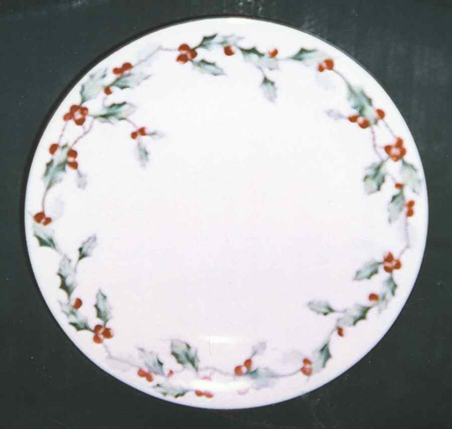 HIN30 Salad Plate by The Hinode-1
