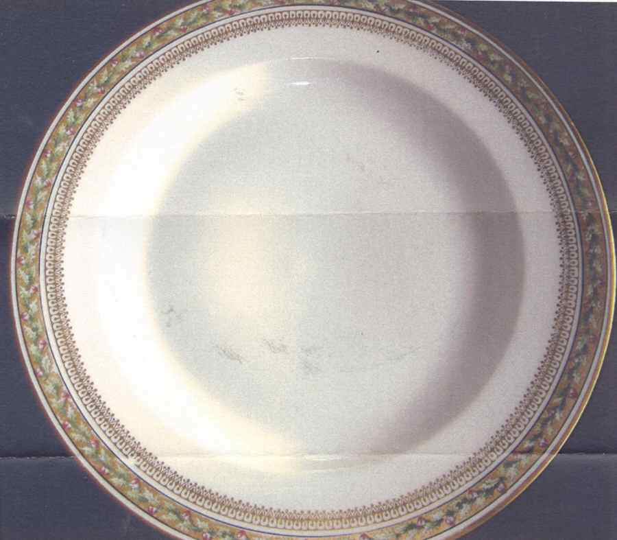 H4051 Dinner Plate by Haviland-1
