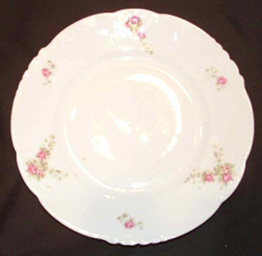 2040 Dinner Plate by Hamburger-1