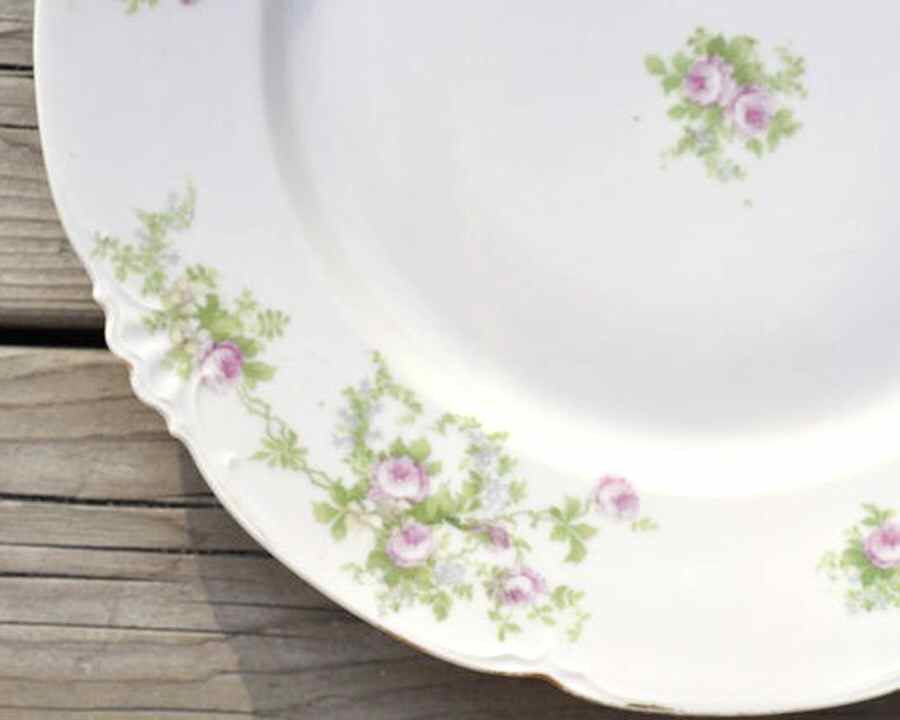 HAB108 Dinner Plate by Habsburg-1