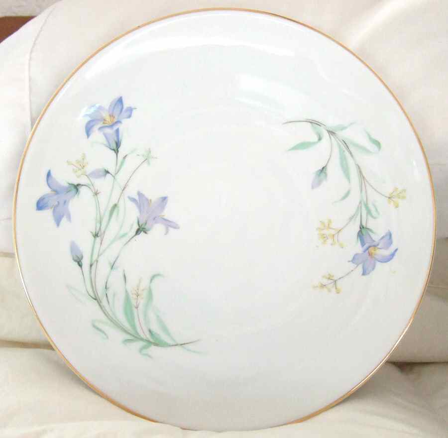 02149 Dinner Plate by Hutschenreuther-1