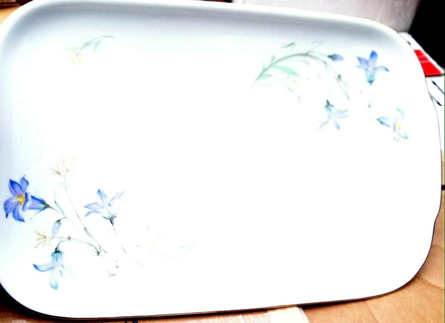 02149 Large Sandwich Tray by Hutschenreuther-1