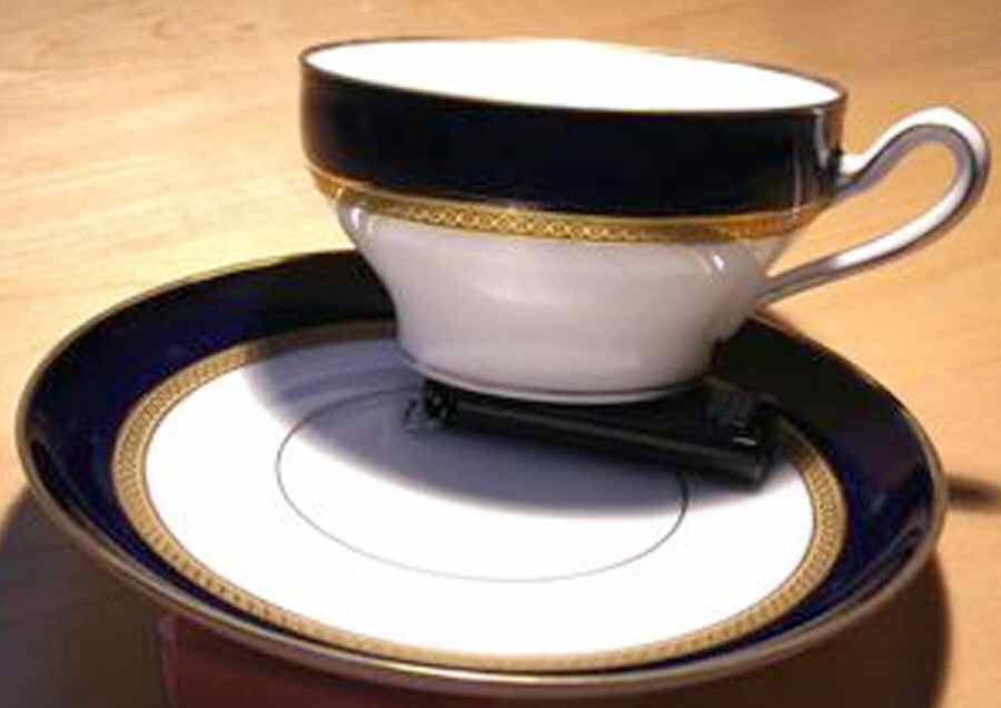 14739 Flat Cup & Saucer Set by Hutschenreuther-1
