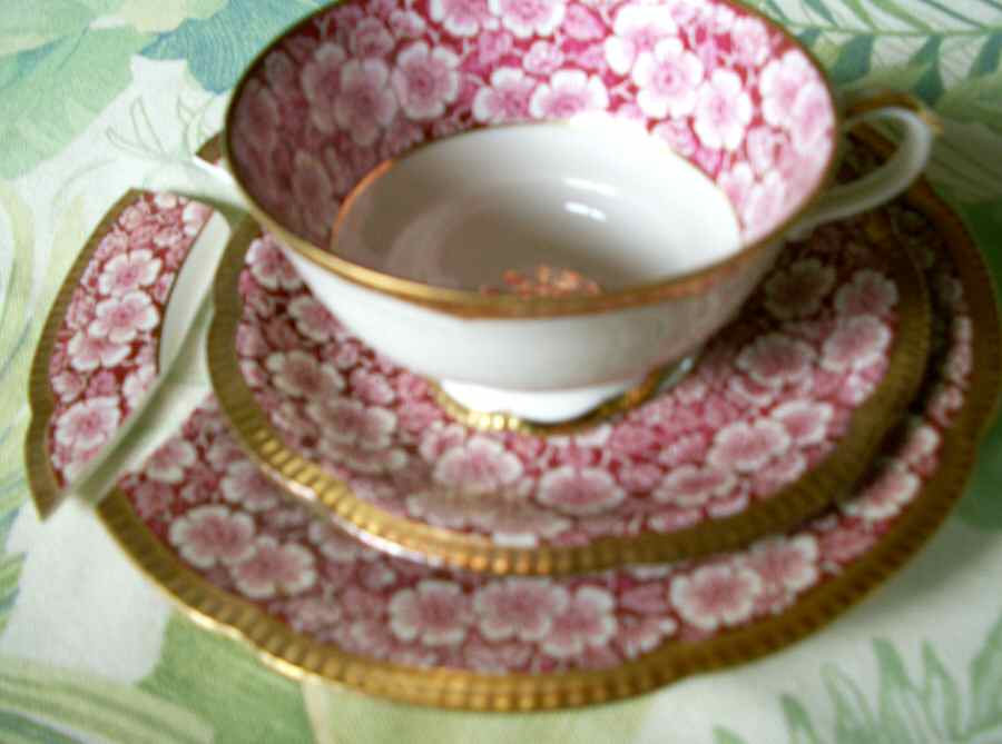 1197 Footed Cup & Saucer Set by Hutschenreuther-1