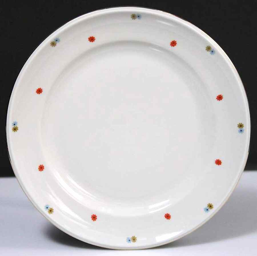 1300 Dinner Plate by Hutschenreuther-1