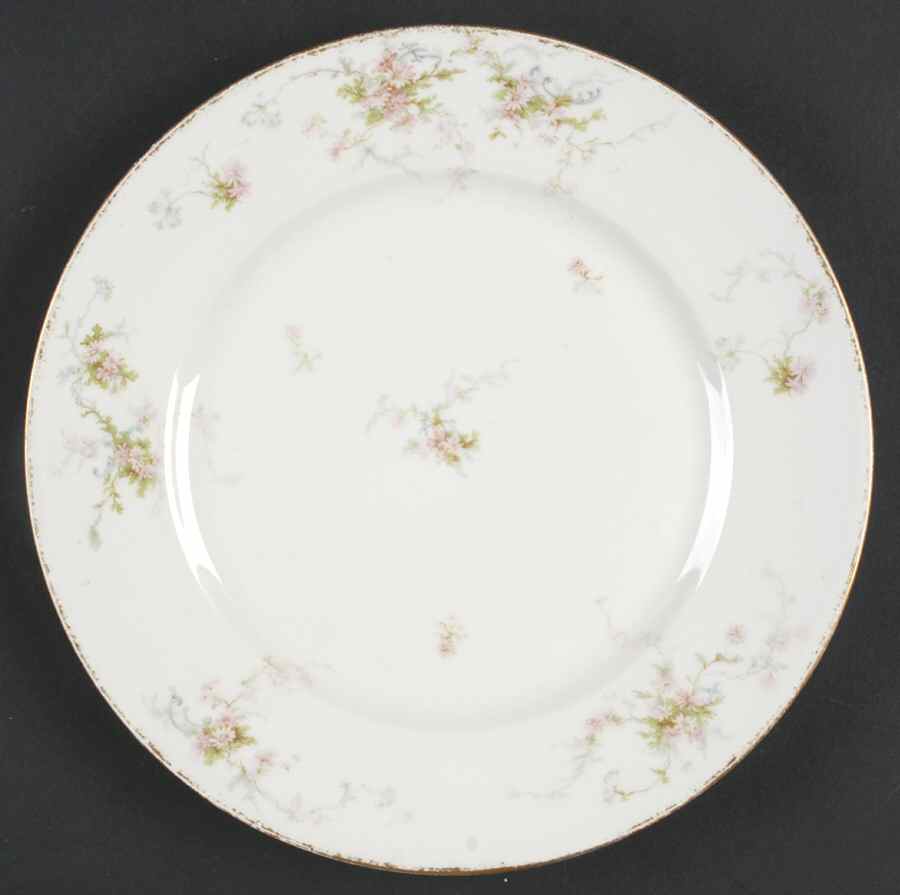 Schleiger 839-4 Dinner Plate by Haviland-1