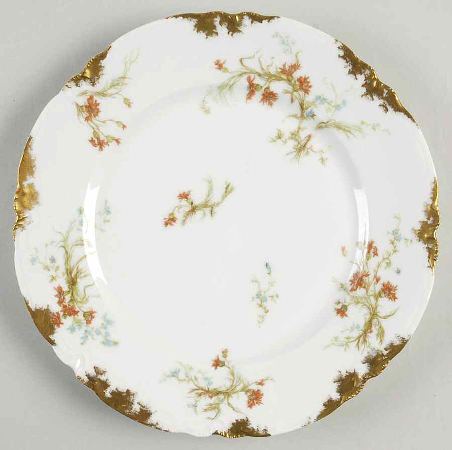 Schleiger 70-11 Dinner Plate by Haviland-1