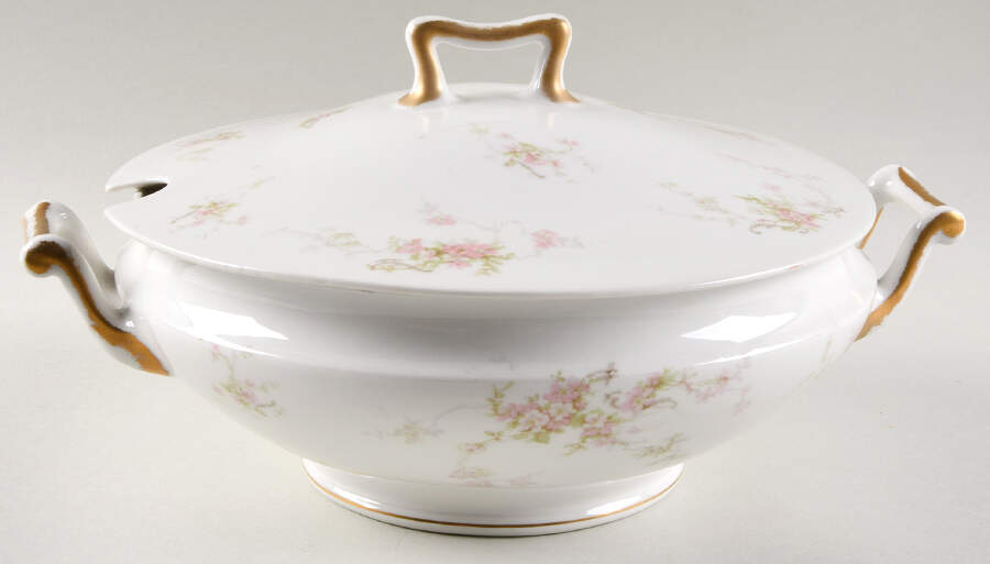 H4072 Tureen &  Lid by Haviland-1