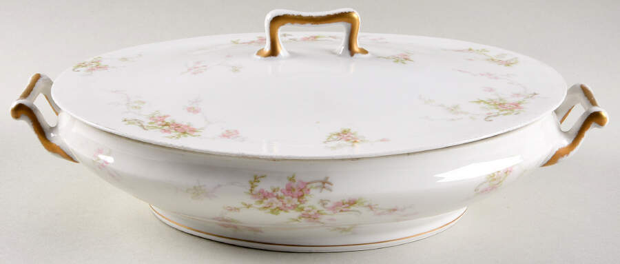 H4072 Oval Covered Vegetable by Haviland-1