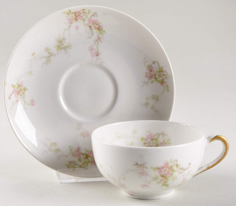 H4072 Footed Cup & Saucer Set by Haviland-1