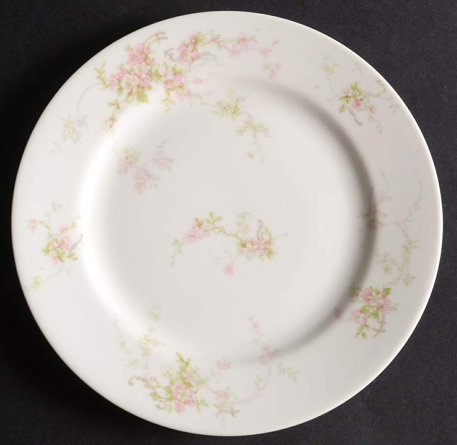 H4072 Salad Plate by Haviland-1
