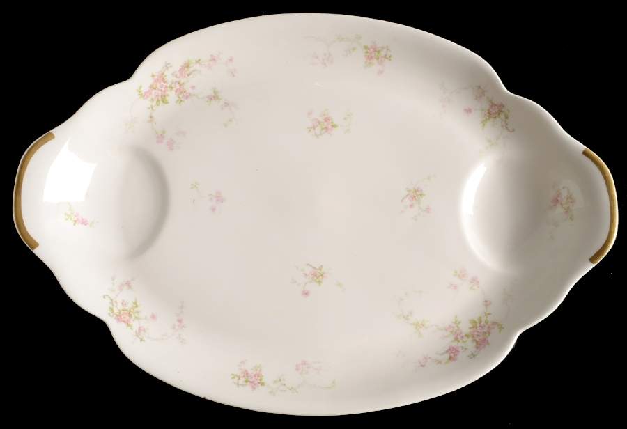 H4072 18" Oval Serving Platter by Haviland-1