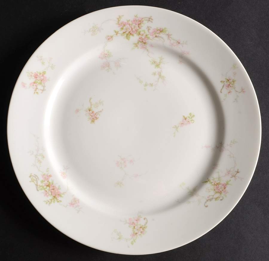 H4072 Dinner Plate by Haviland-1
