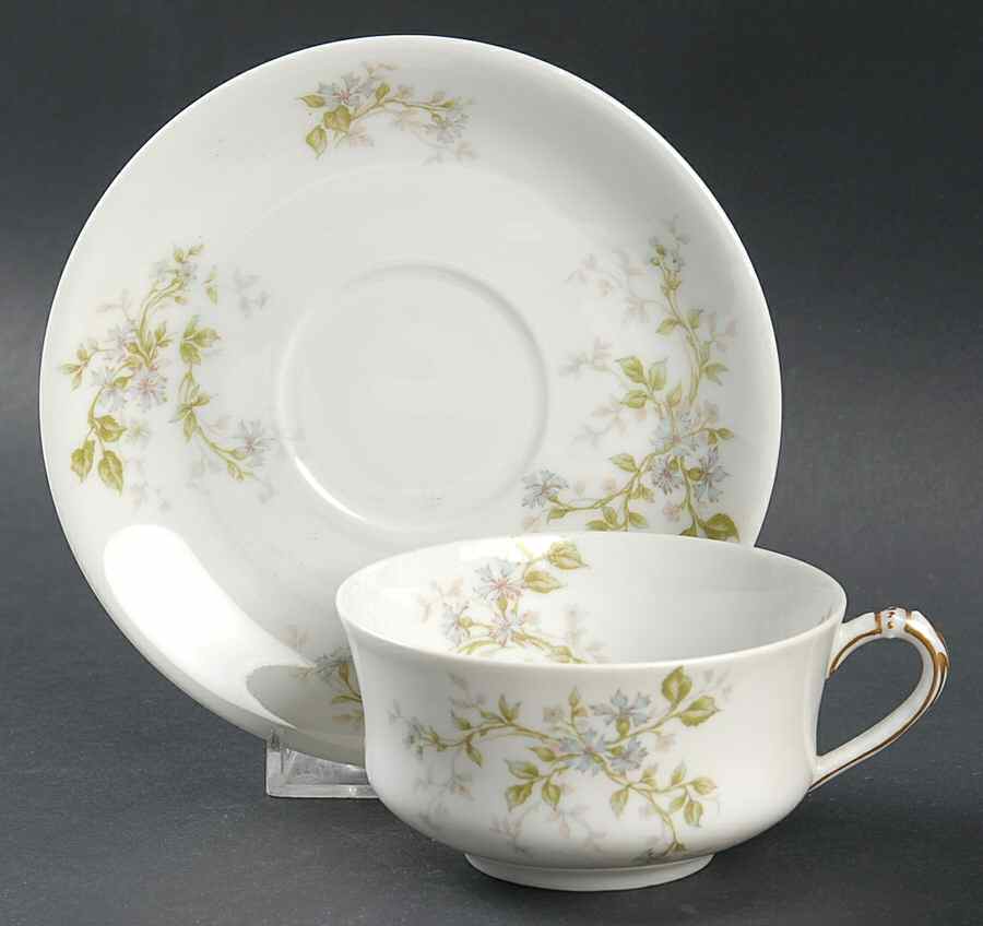 Schleiger 1181-2 Flat Cup & Saucer Set by Haviland-1