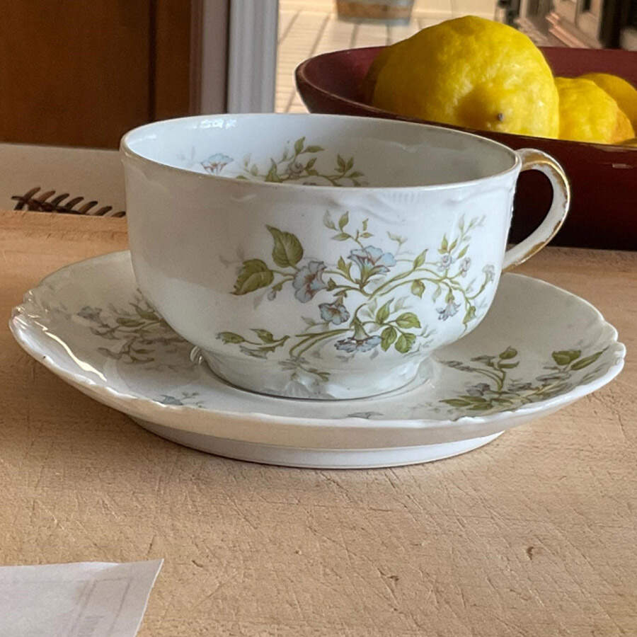 H4079 Footed Cup & Saucer Set by Haviland-1
