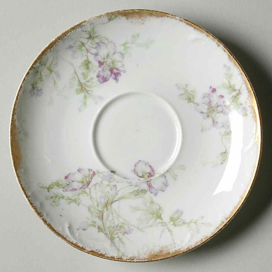 H4080 Saucer by Haviland-1