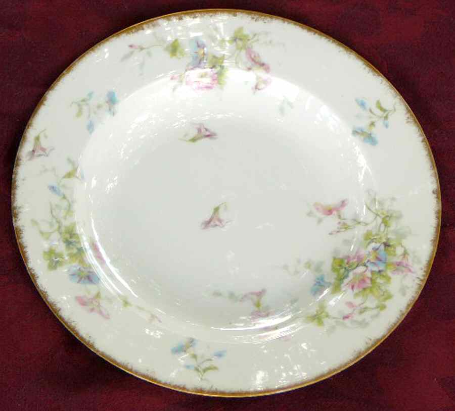 Schleiger 333-10 Dinner Plate by Haviland-1