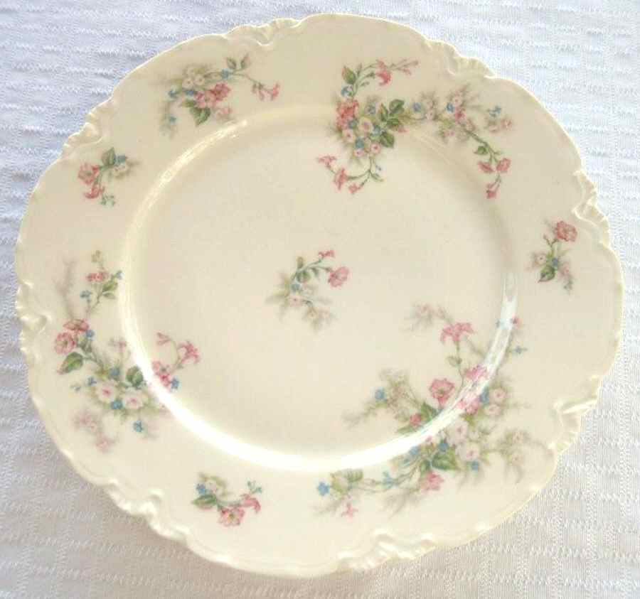 H4085 Dinner Plate by Haviland-1