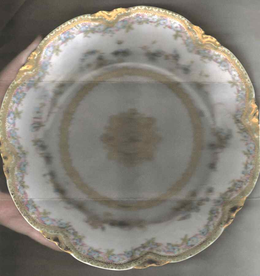 H4089 Dinner Plate by Haviland-1