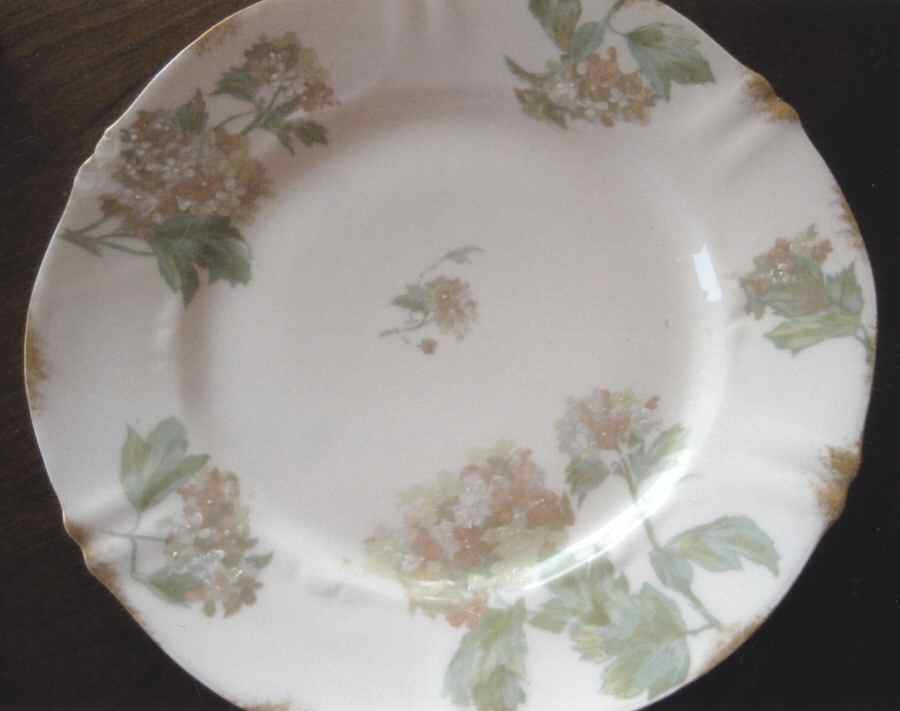 H4092 Dinner Plate by Haviland-1