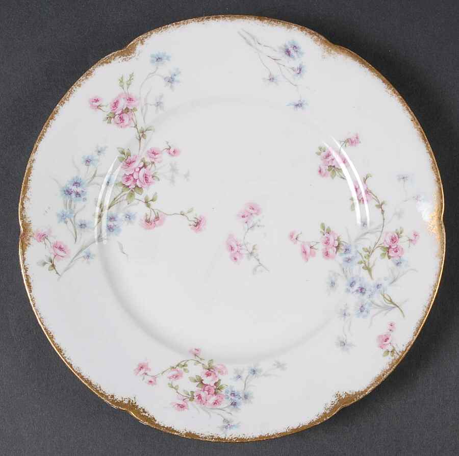 Schleiger 309-10 Salad Plate by Haviland-1