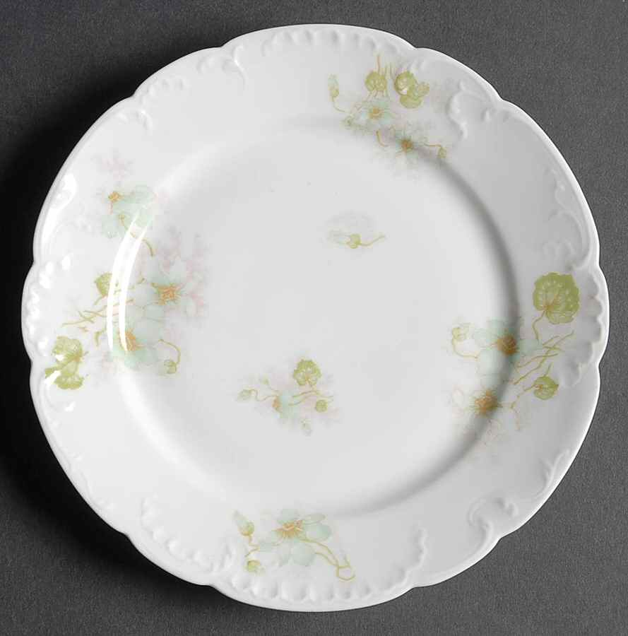 H4095 Bread & Butter Plate by Haviland-1