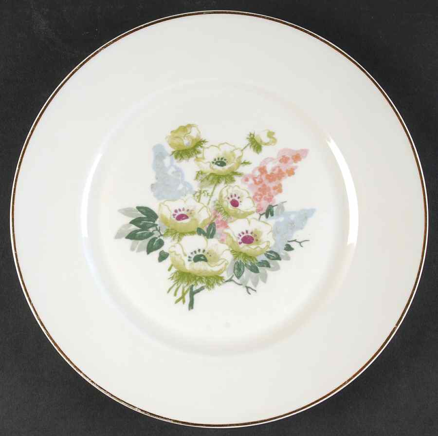 H4099 Dinner Plate by Haviland-1