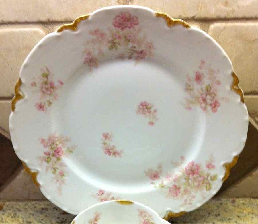 Schleiger 1172-5 Dinner Plate by Haviland-1