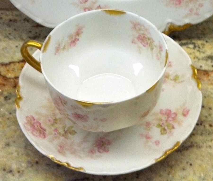 Schleiger 1172-5 Footed Cup & Saucer Set by Haviland-1