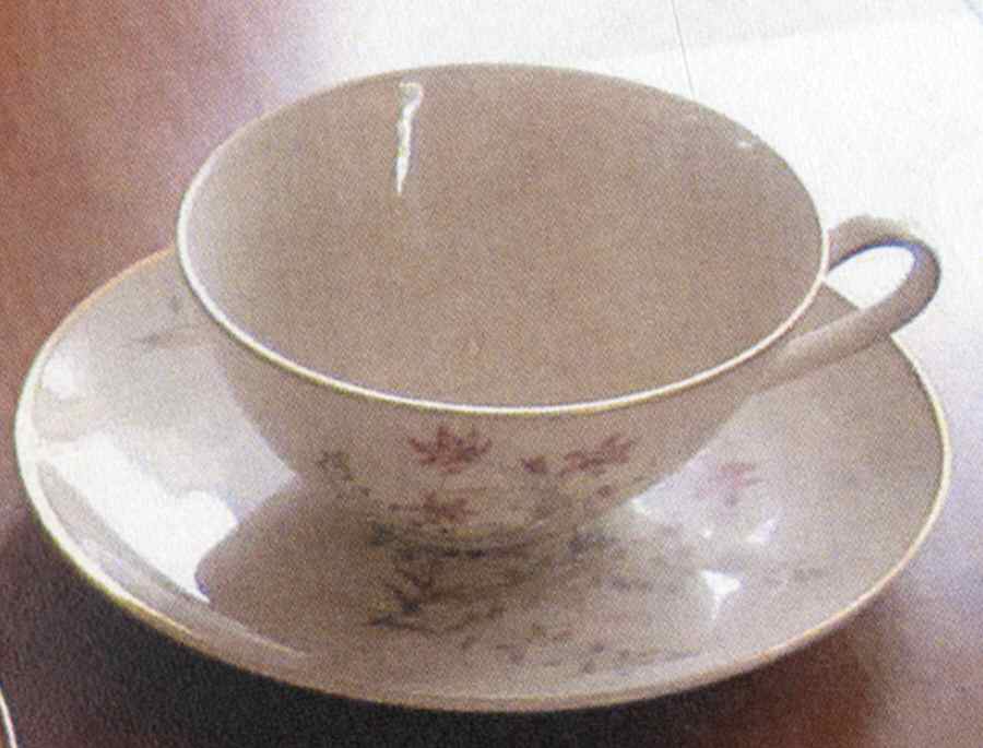 8267 Flat Demitasse Cup & Saucer Set by Hutschenreuther-1