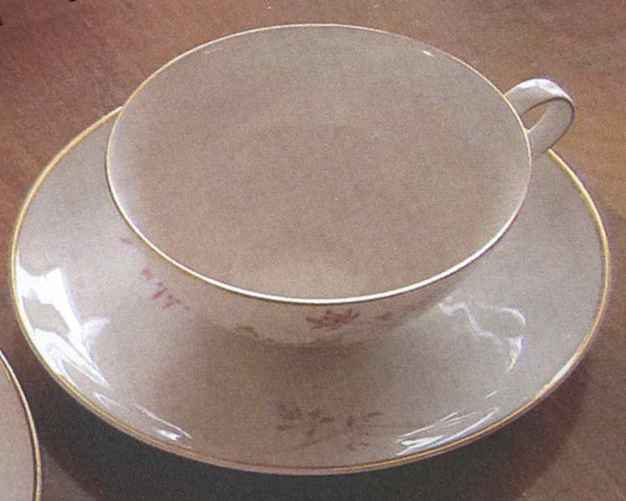 8267 Flat Cup & Saucer Set by Hutschenreuther-1