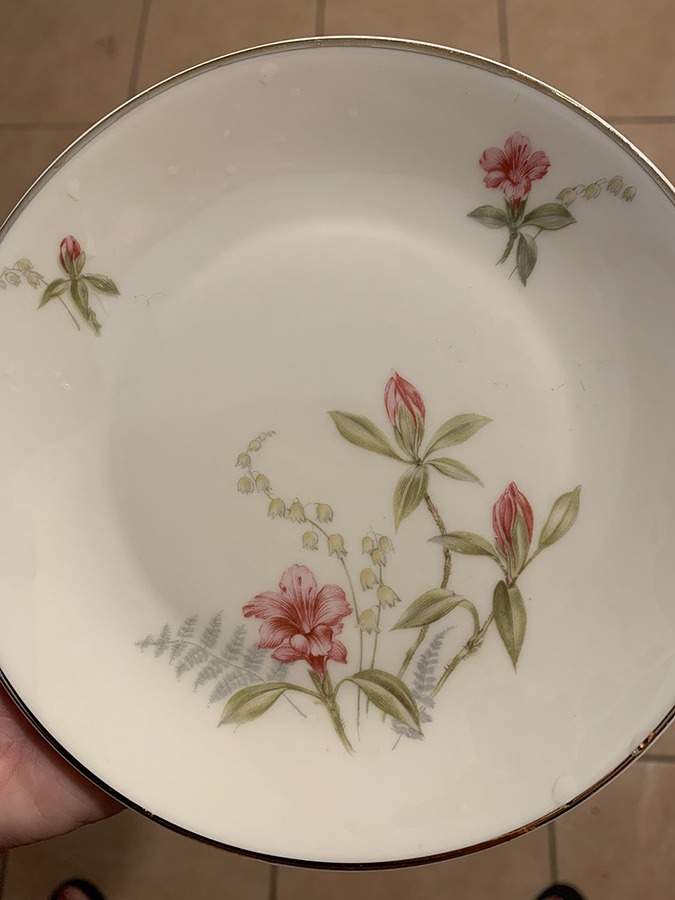 HUT2009 Dinner Plate by Hutschenreuther-1