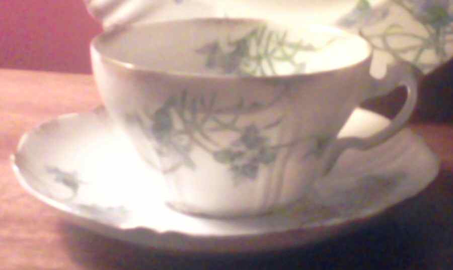 Schleiger 1035-9 Flat Cup & Saucer Set by Haviland-1