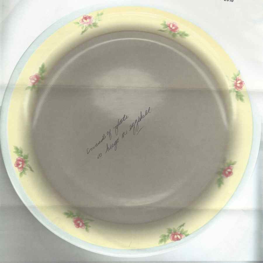 HLC3868 Dinner Plate by Homer Laughlin -1