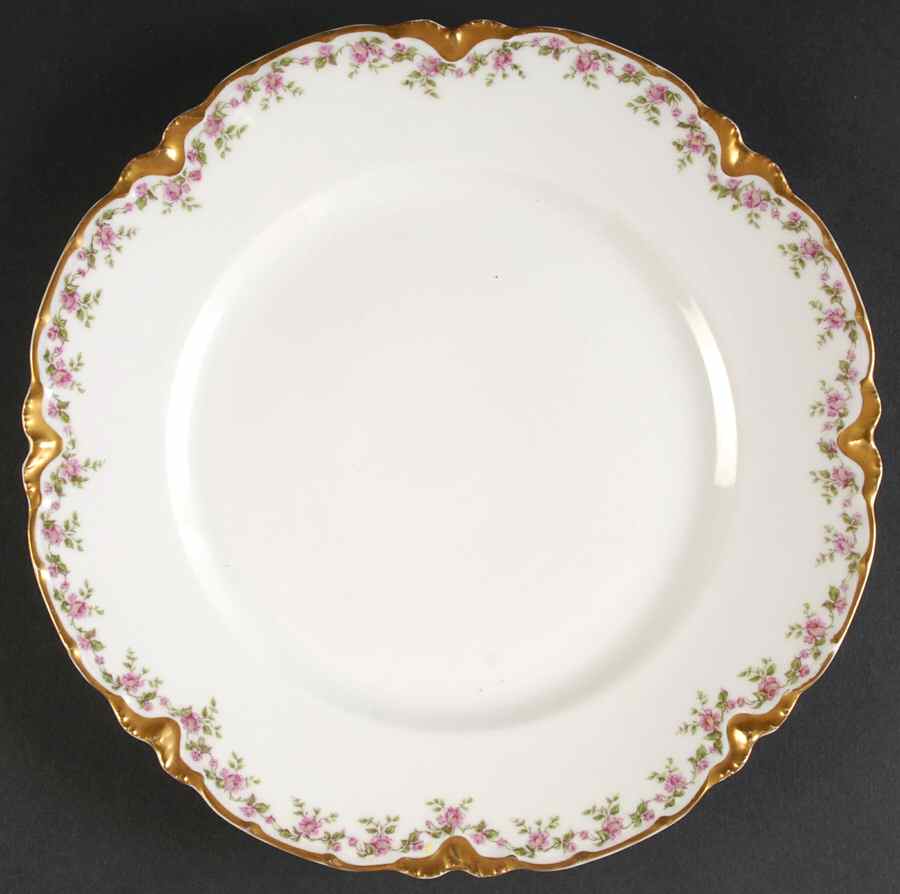 Schleiger 546-3 Dinner Plate by Haviland-1