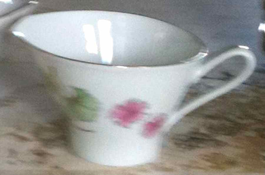 03354 Creamer by Hutschenreuther-1