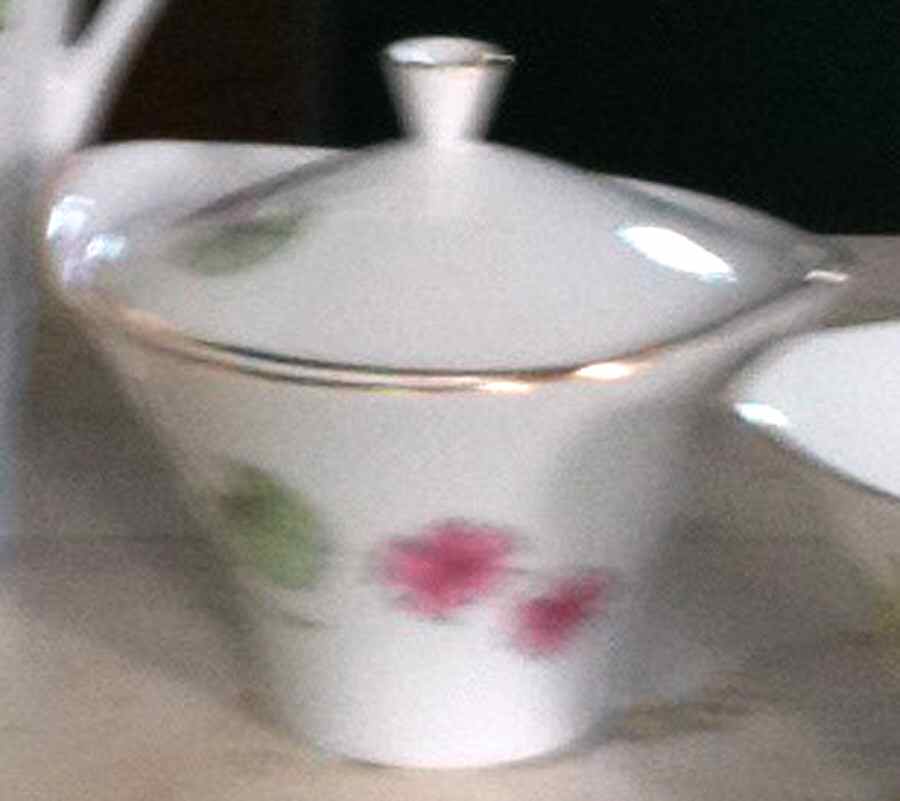03354 Sugar Bowl & Lid by Hutschenreuther-1