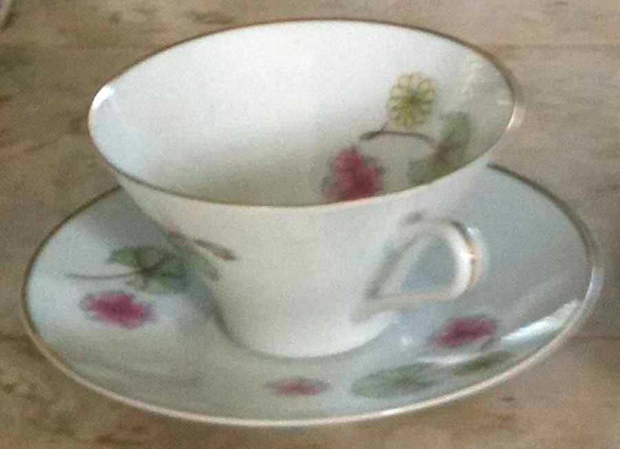 03354 Flat Cup & Saucer Set by Hutschenreuther-1