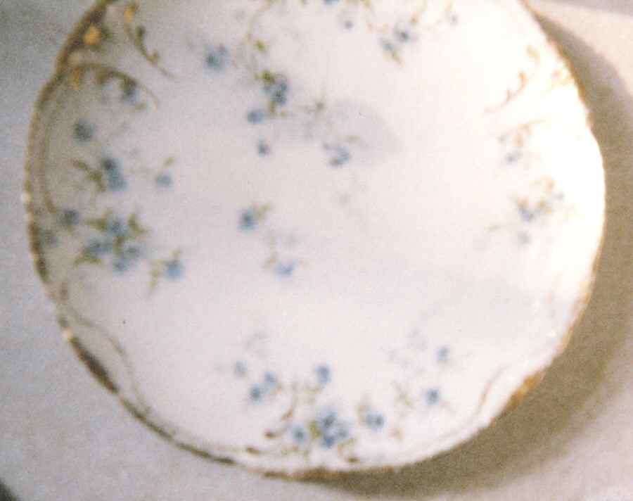 Schleiger 150-26 Coupe Salad Plate by Haviland-1