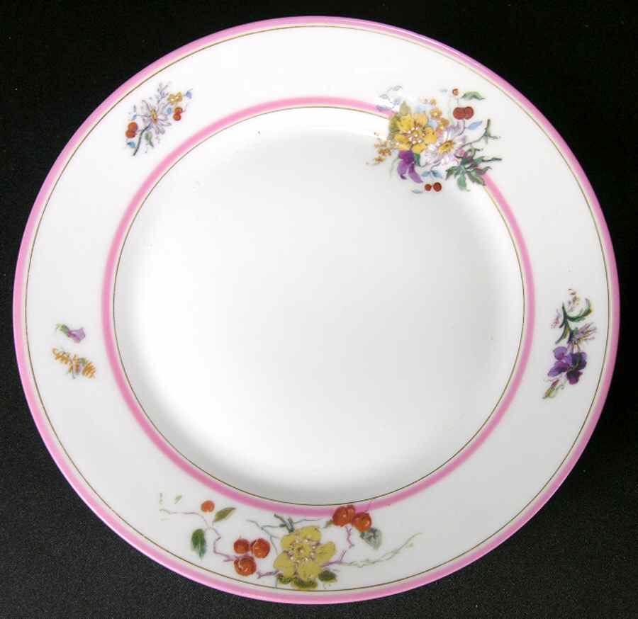 H4123 Dinner Plate by Haviland-1