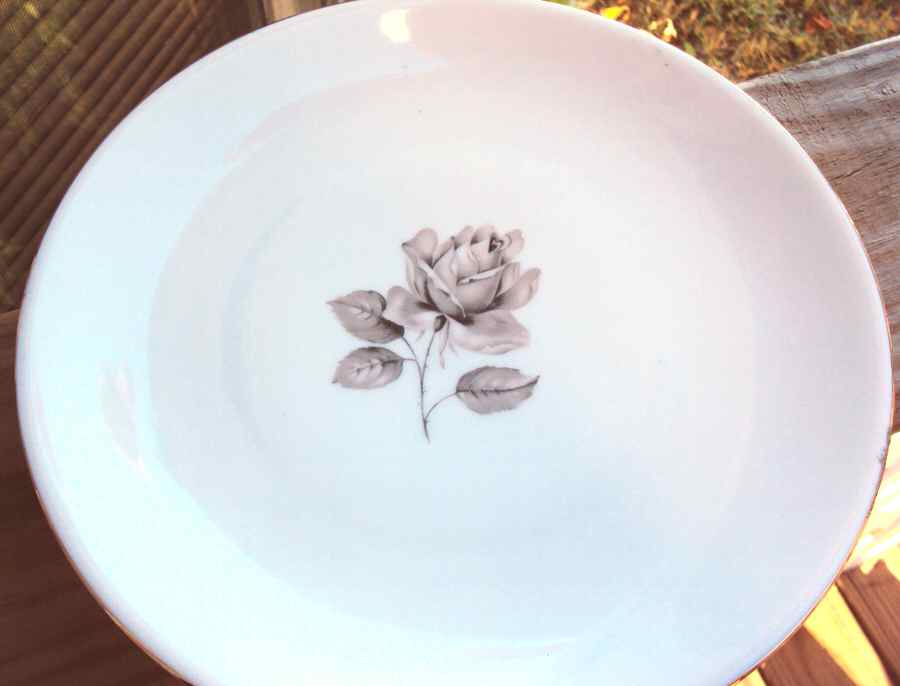 04734 Dinner Plate by Hutschenreuther-1