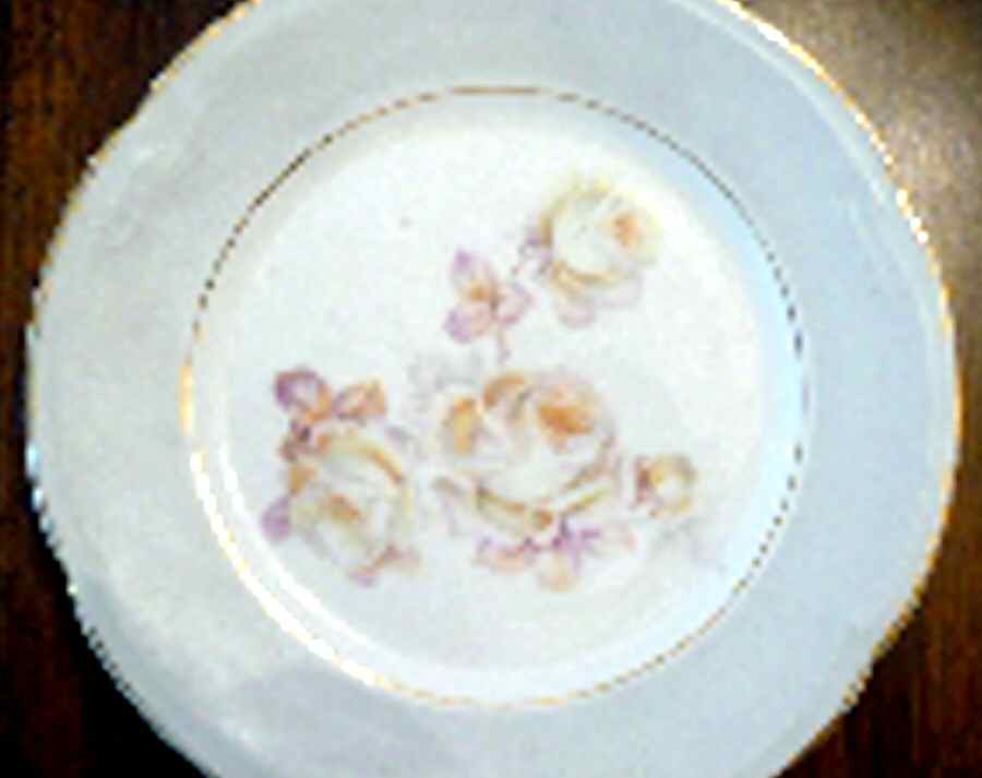 4717 Dinner Plate by Hub China-1