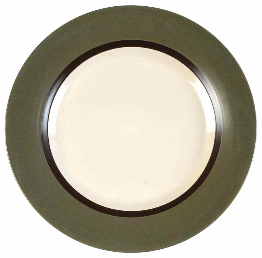 Emerson Green Dinner Plate by Home-1
