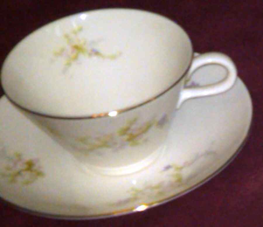 H1I1 Footed Cup & Saucer Set by Highlight Fine China-1