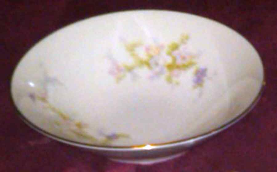 H1I1 Fruit/Dessert (Sauce) Bowl by Highlight Fine China-1