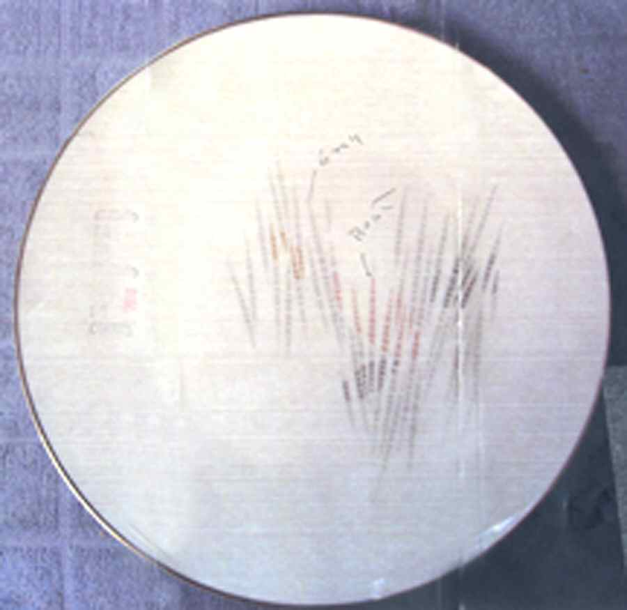 HUT2031 Dinner Plate by Hutschenreuther-1