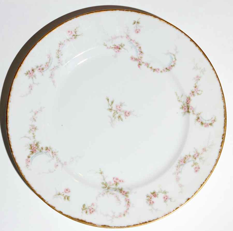 H4145 Dinner Plate by Haviland-1