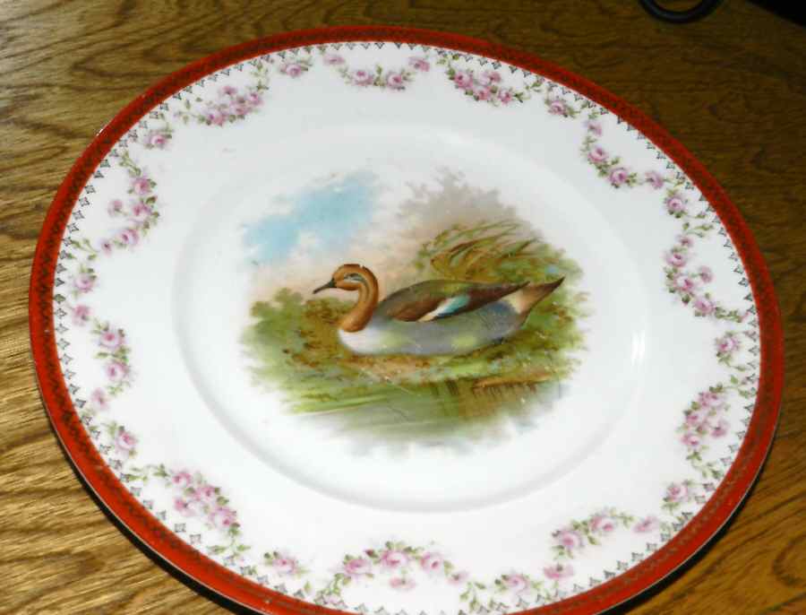 HUB3 Dinner Plate by Hutaba-1