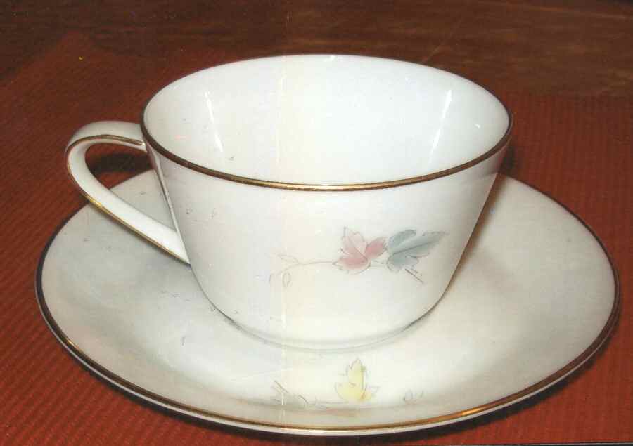 9062 Flat Cup & Saucer Set by Hutschenreuther-1