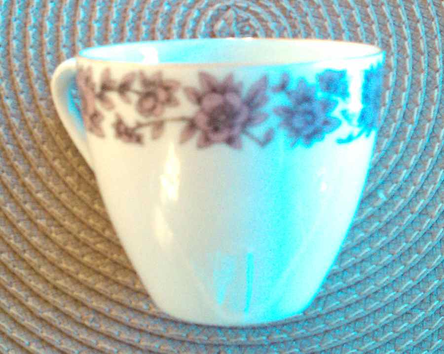HUT2041 Flat Cup by Hutschenreuther-1